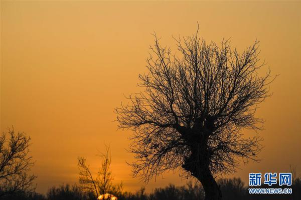 《惜春容》by秦柒在哪看