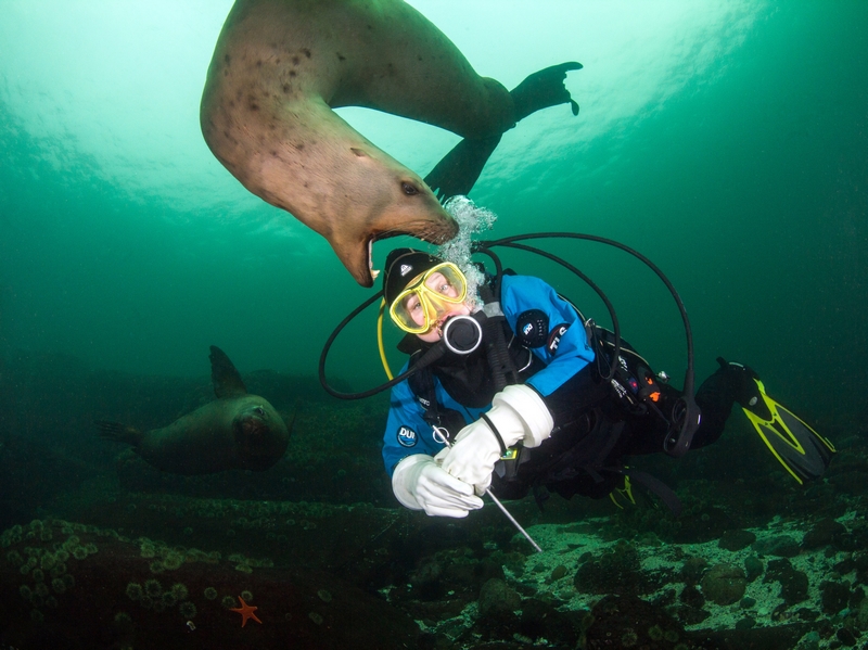 朝雪錄(無刪減)筆趣閣