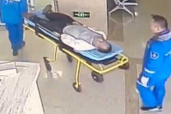 初春微醺1v1h紫蘇魚