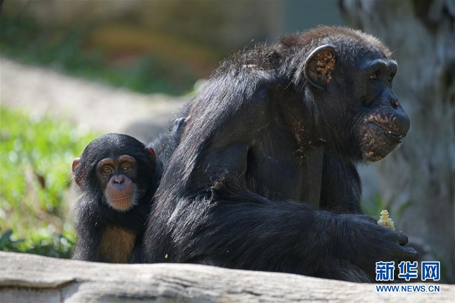 錯位關(guān)系(校園)東哥方糖