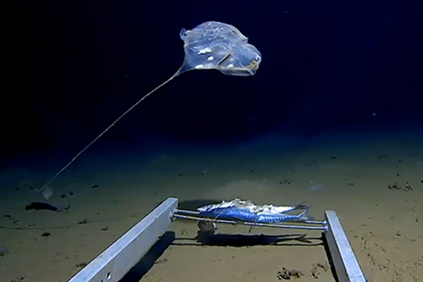 最豪贅婿(周天李若雪)小說全文免費閱讀_筆趣喵