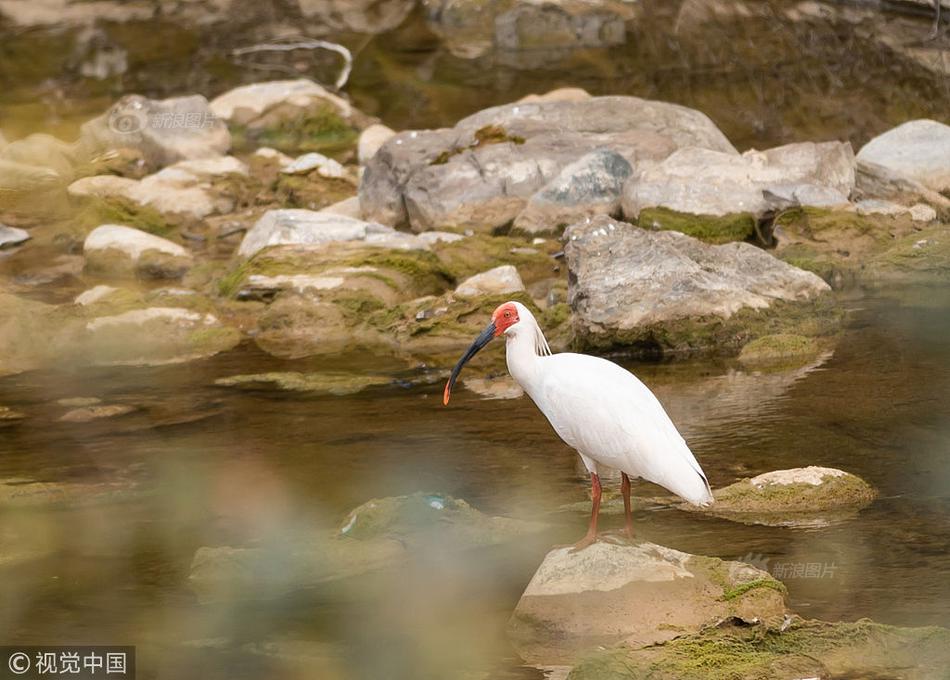 主母歸來姀錫筆趣閣